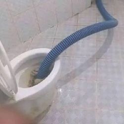 sedotwckana